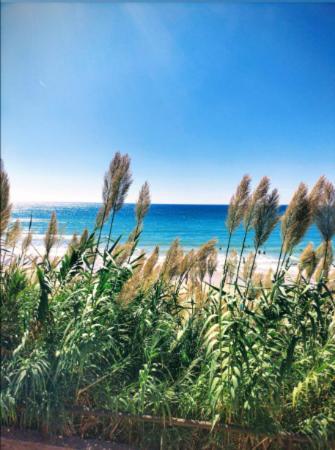 Conil Vistas Al Mar Del Roqueo, Fuente Del Gallo Conil De La Frontera Ngoại thất bức ảnh