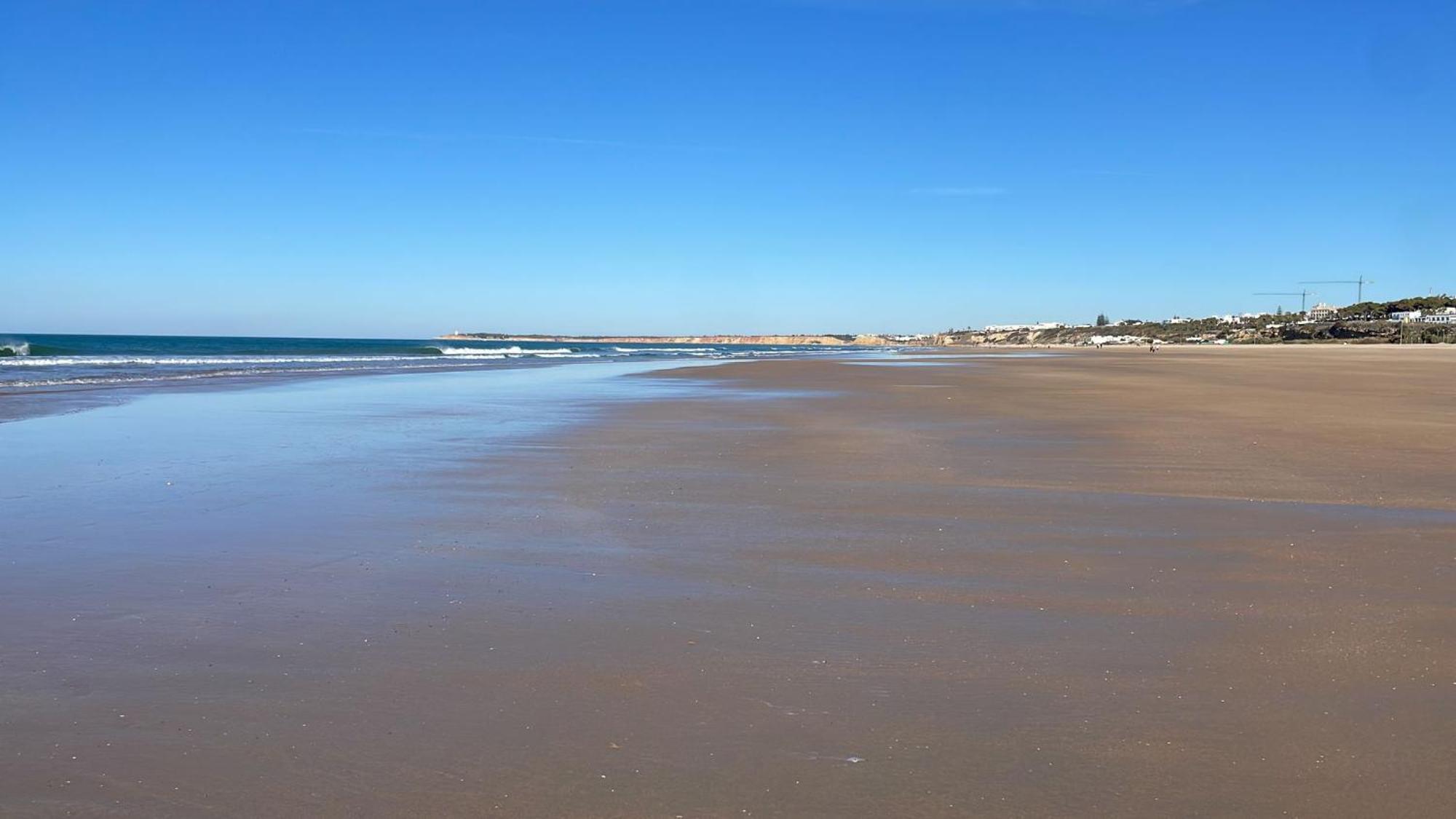 Conil Vistas Al Mar Del Roqueo, Fuente Del Gallo Conil De La Frontera Ngoại thất bức ảnh